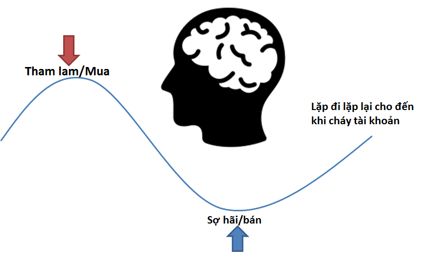 lòng tham và sợ hãi trong Forex