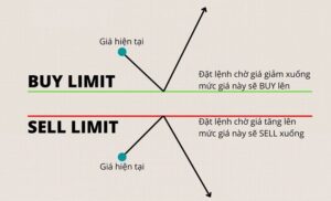 Các lệnh Forex