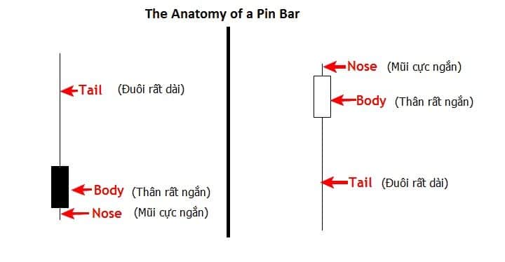 pin bar