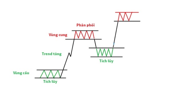 quy luật cung cầu