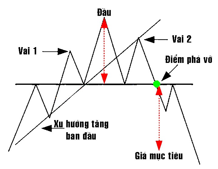 vai đầu vai